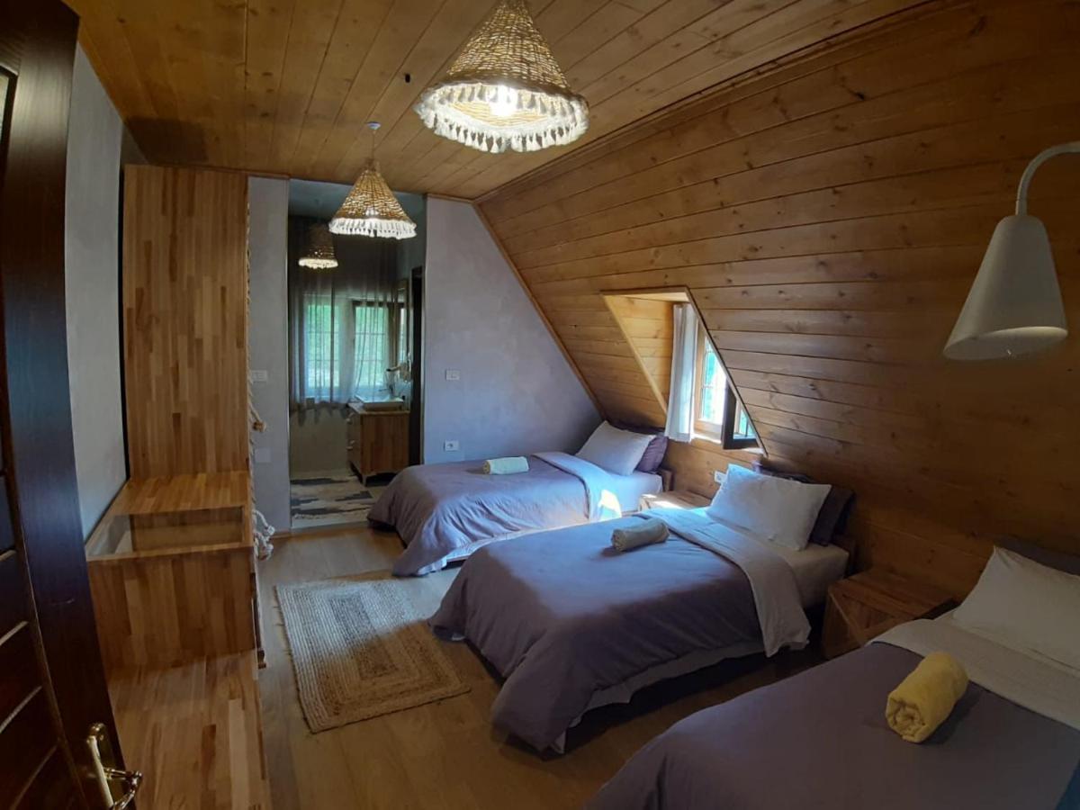 Hotel Restaurant Alpet 세스 외부 사진